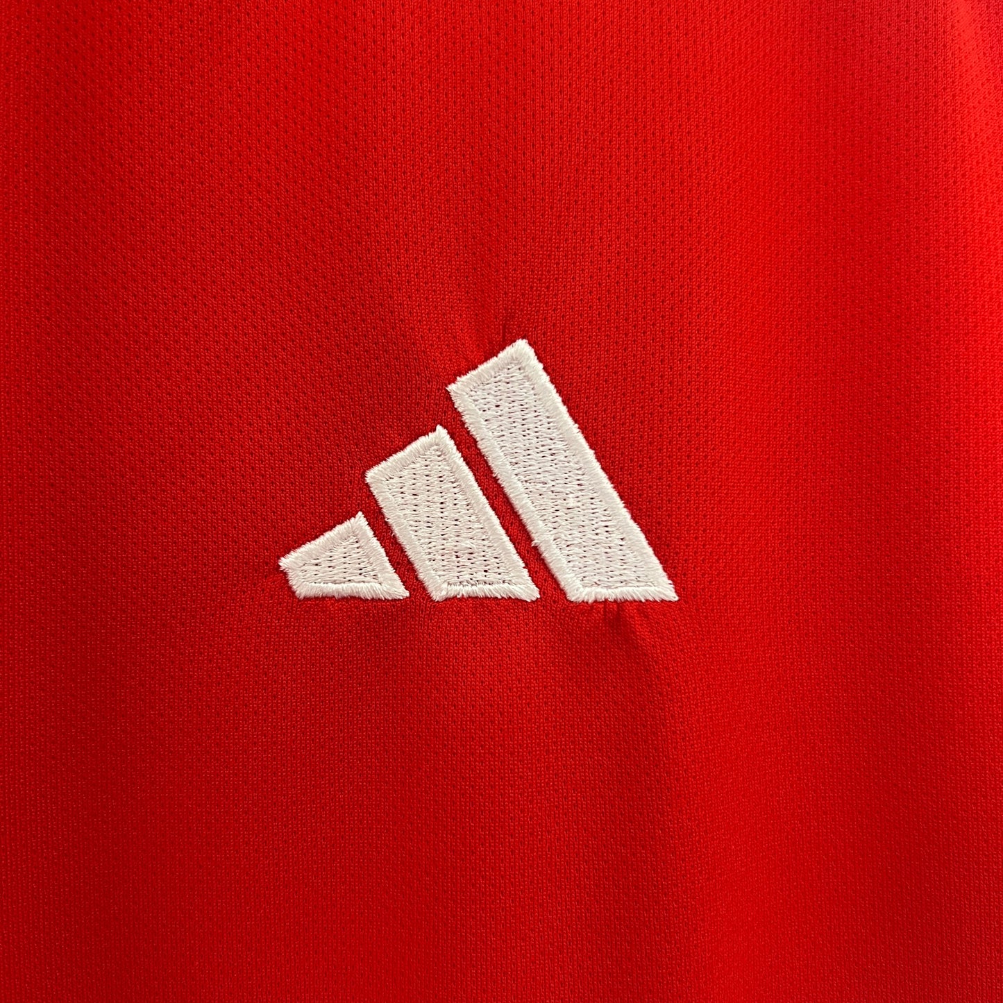 Camiseta Edición Especia Colo Colo 24-25