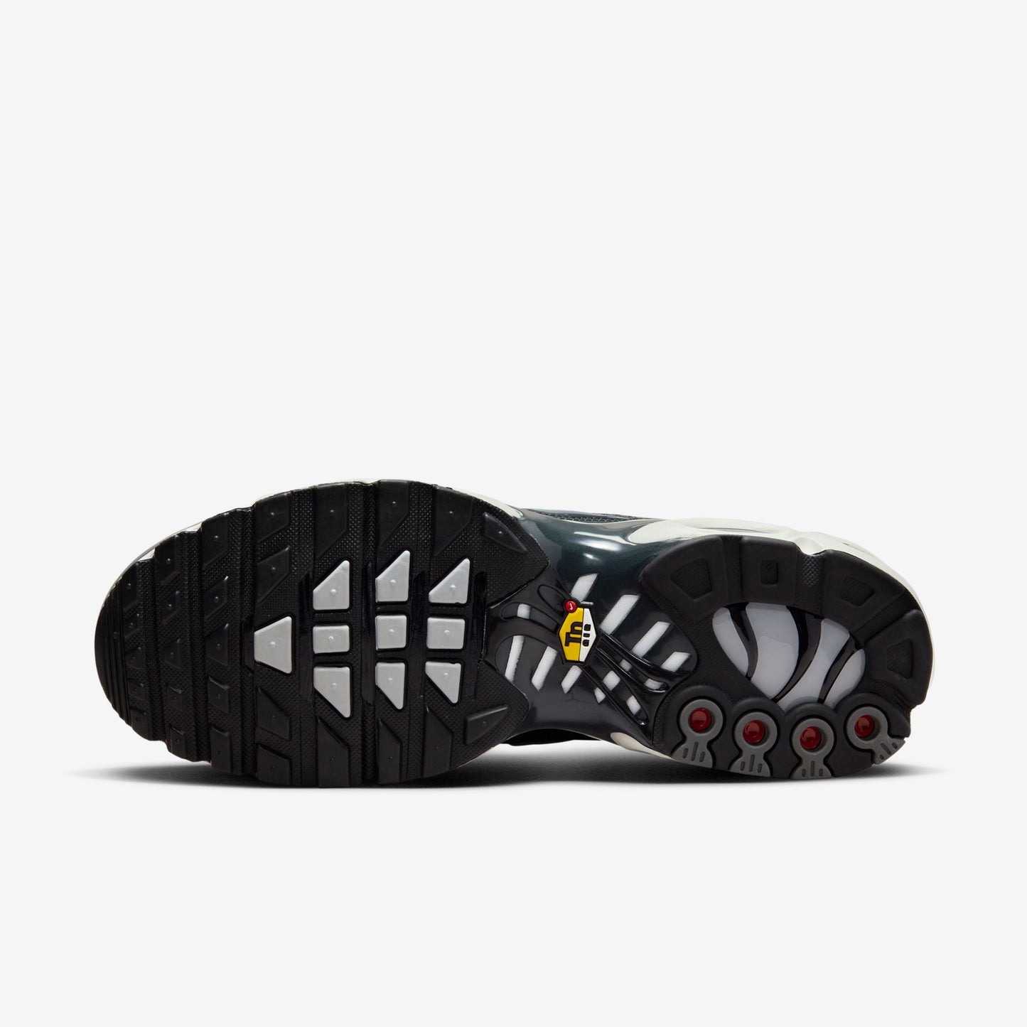 NIKE AIR MAX PLUS EWT