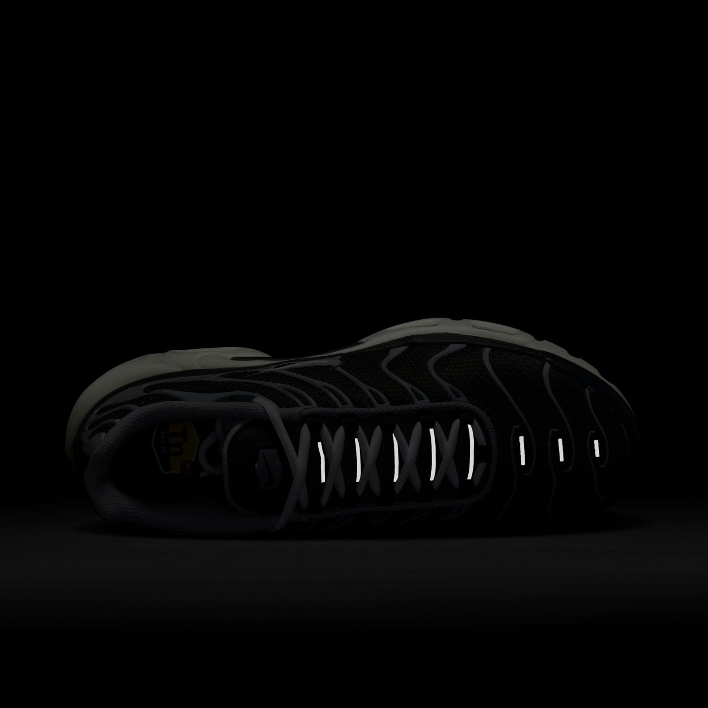 NIKE AIR MAX PLUS EWT