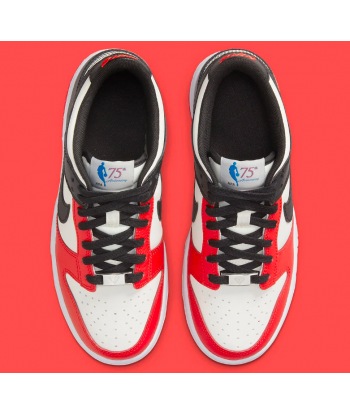 NIKE DUNK LOW NBA 75 ANIVERSARIO
