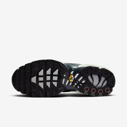 NIKE AIR MAX PLUS EWT