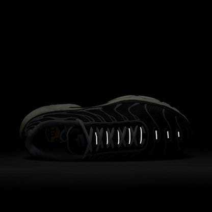 NIKE AIR MAX PLUS EWT