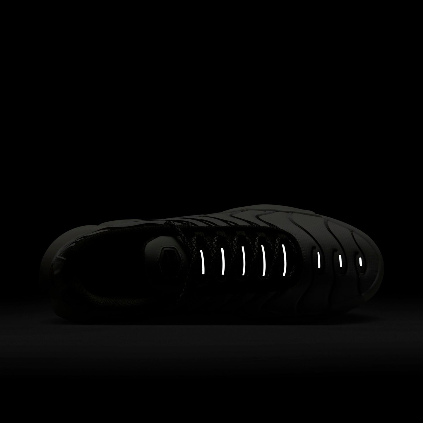 Nike Air Max Plus