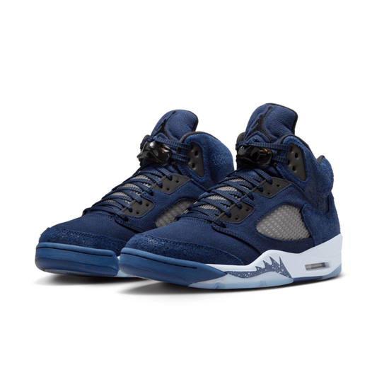 Air Jordan Retro 5 SE